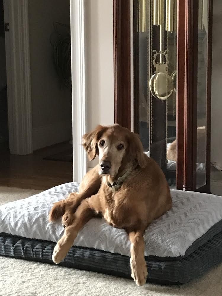 Carlee at home