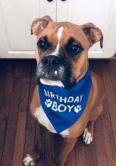 Rocco Terry