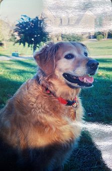 Lily Lowrance